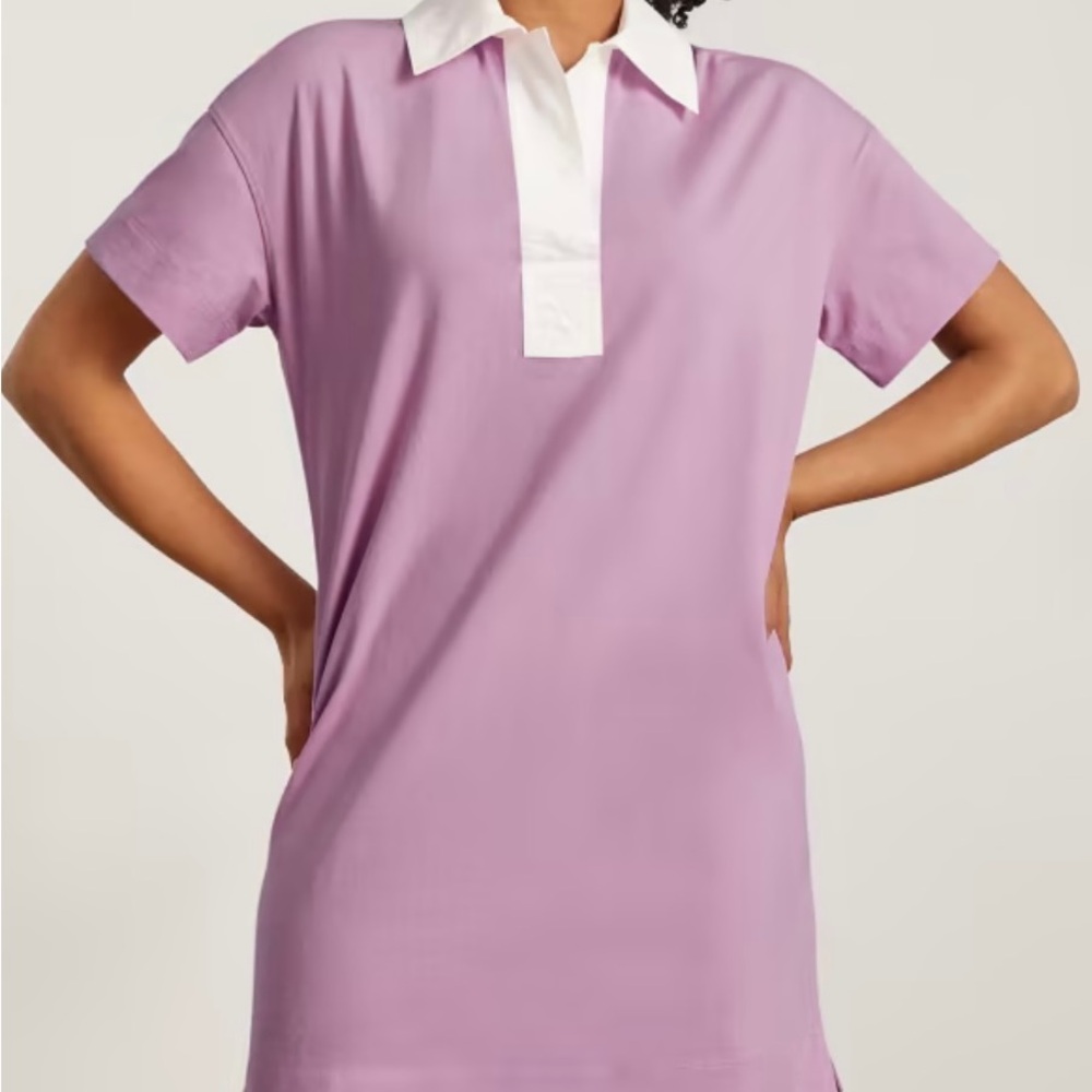 Everlane Cotton Polo Dress